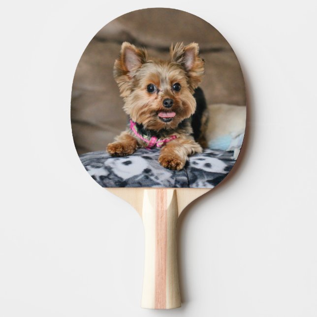 Raquette De Ping Pong Tiny Dynamo (Devant)