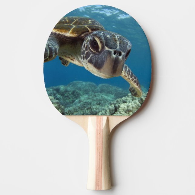 Raquette De Ping Pong Tortue de mer verte hawaïenne (Devant)