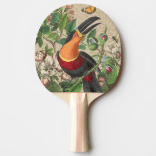 Raquette De Ping Pong Toucan Jungle Tropical Bird Belle antique
