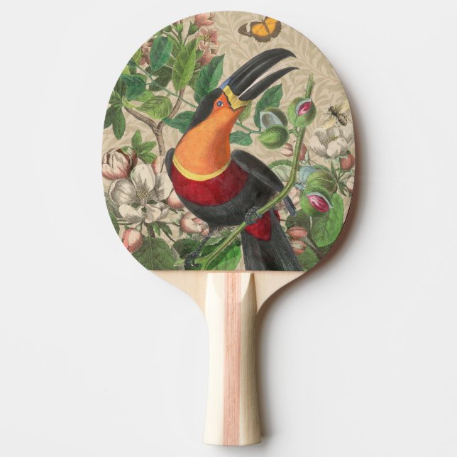 Raquette De Ping Pong Toucan Jungle Tropical Bird Belle antique (Devant)