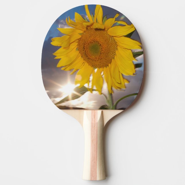Raquette De Ping Pong Tournesol hybride soufflant au vent au crépuscule (Devant)