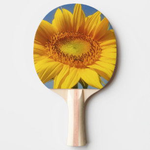 Raquette De Ping Pong Tournesol jaune