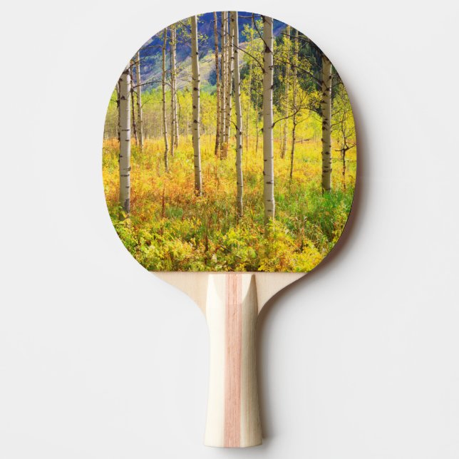 Raquette De Ping Pong Trembles en automne dans les Rocheuses (Devant)