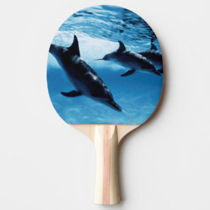 Raquette De Ping Pong Trio de dauphins
