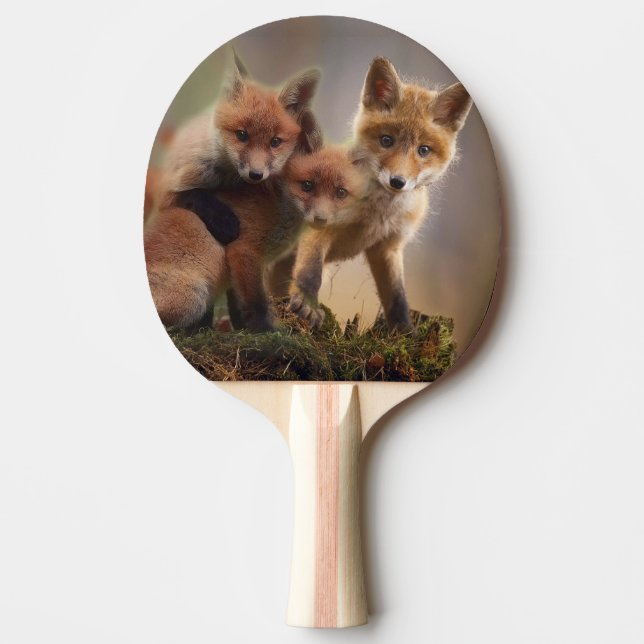 Raquette De Ping Pong Triplés renards (Devant)