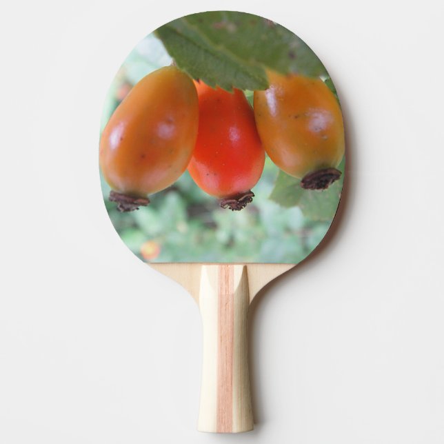 Raquette De Ping Pong Trois cynorhodons orange (Devant)