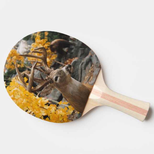 Raquette De Ping Pong Trophée Deer (Côté)