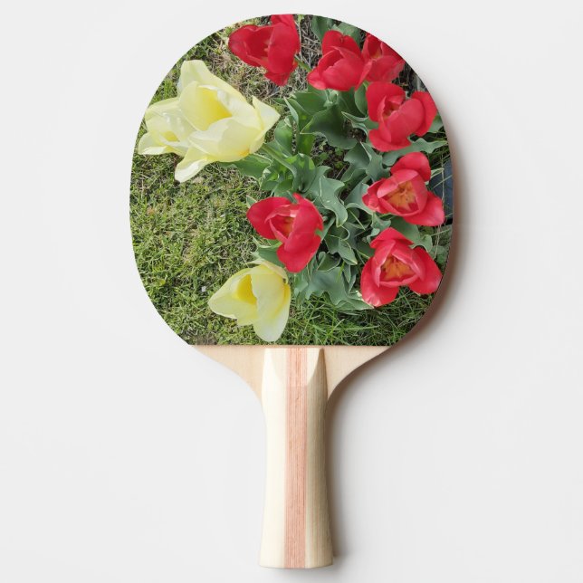 Raquette De Ping Pong Tulipes (Devant)