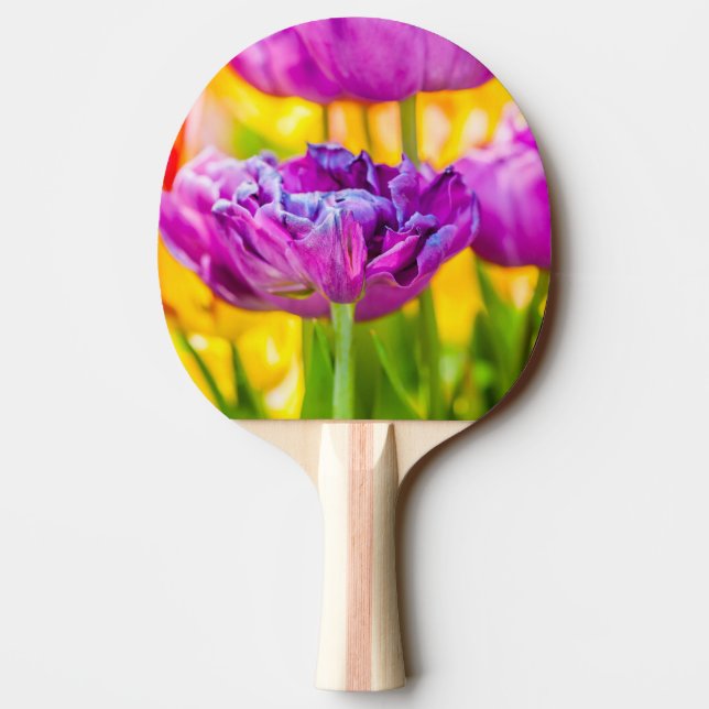 Raquette De Ping Pong Tulipes Enchantant rose foncé (Dos)