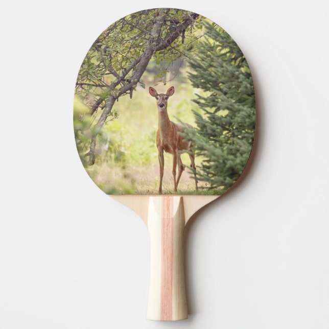 Raquette De Ping Pong Un cerf solitaire  (Devant)
