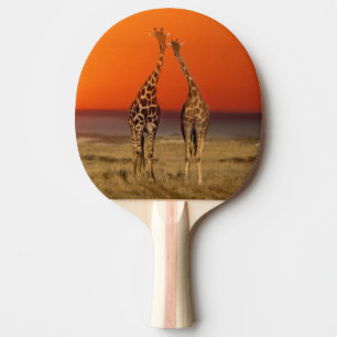 Raquette De Ping Pong Un couple de girafes marche vers le coucher du sol