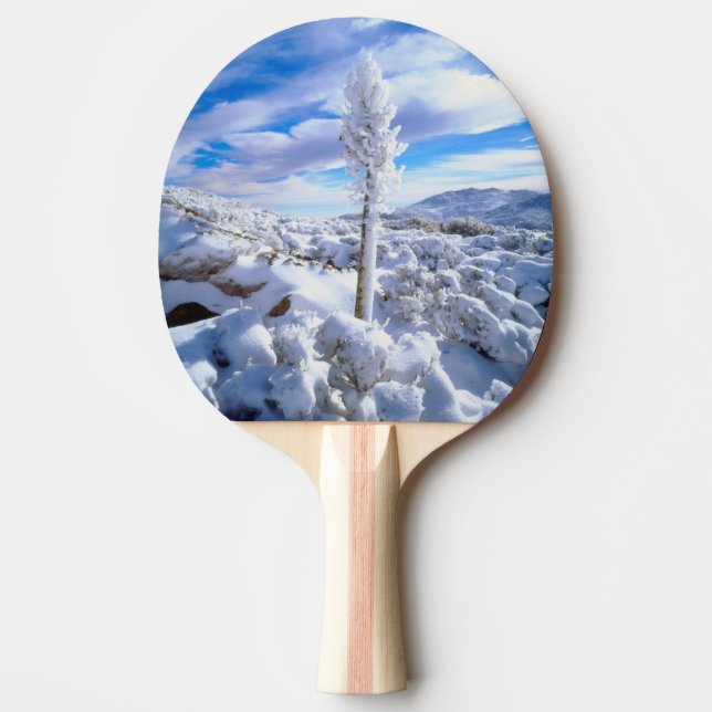 Raquette De Ping Pong Un yucca enneigé (Devant)