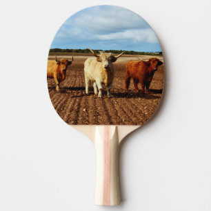 Raquette De Ping Pong Vaches vilaines des Highlands,