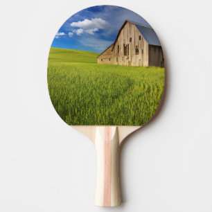 Raquette De Ping Pong Vieille grange dans un champ de blé de printemps