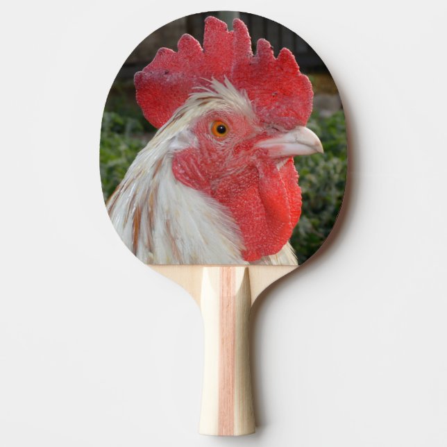 Raquette De Ping Pong Visage de coq Brown, (Devant)