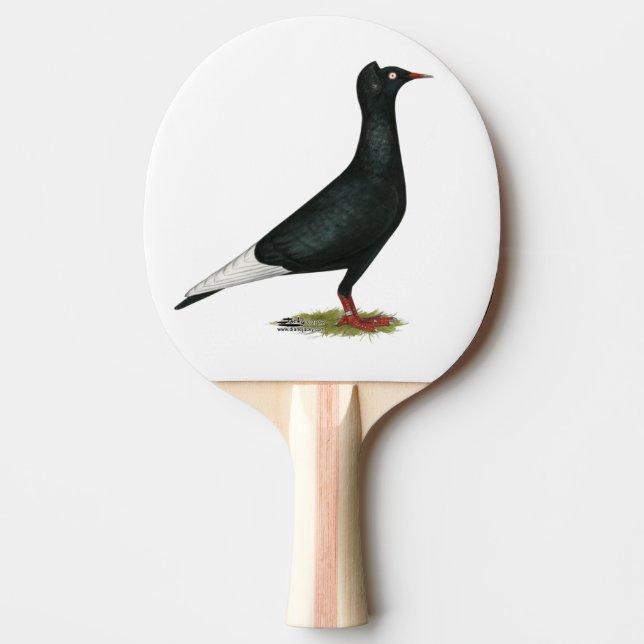 Raquette De Ping Pong Vol Casquette noir Pigeon (Devant)