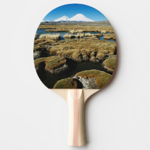Raquette De Ping Pong Volcans Payachalas