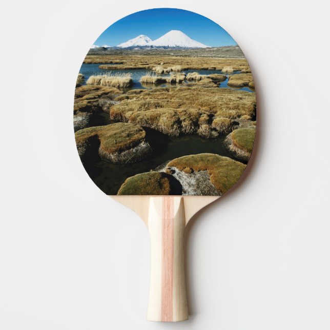 Raquette De Ping Pong Volcans Payachalas (Devant)
