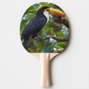 Raquette De Ping Pong Vous pouvez vous asseoir dans les cimes des arbres