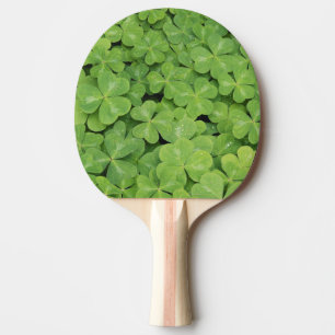 Raquette De Ping Pong Vue sur Oxalis Oregana Bois Sorrel Foliage
