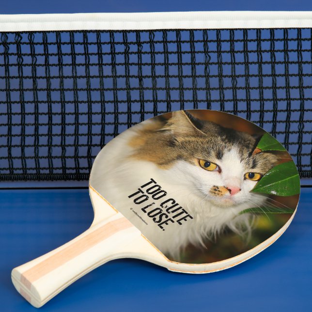 Raquette De Ping Pong Whimsical Le Chat et la Camellia (Insitu)
