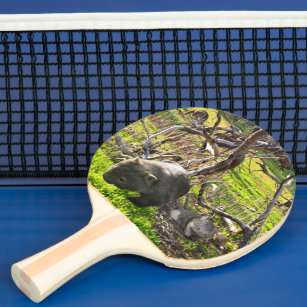 Raquette De Ping Pong Wombats Et Kangaroos, Ping Pong