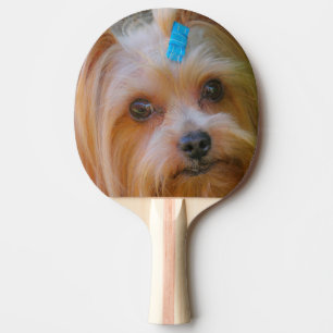 Raquette De Ping Pong Yorkshire Terrier Yorkie race préférée