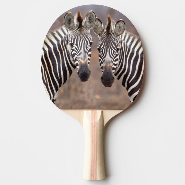 Raquette De Ping Pong Zèbres des plaines, parc national Kruger (Devant)