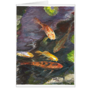 Rassemblement des poissons de Koi