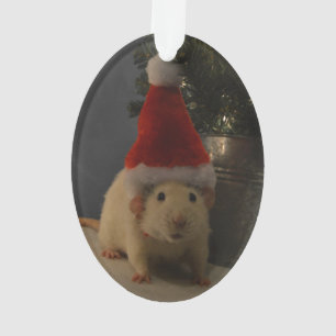 Rat d'abruti du père noël