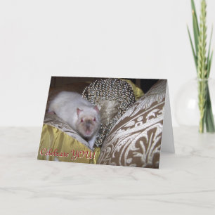 Rat d'animal familier, carte d'anniversaire de