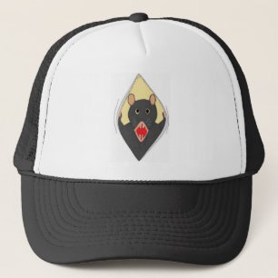 Rat dans un casquette