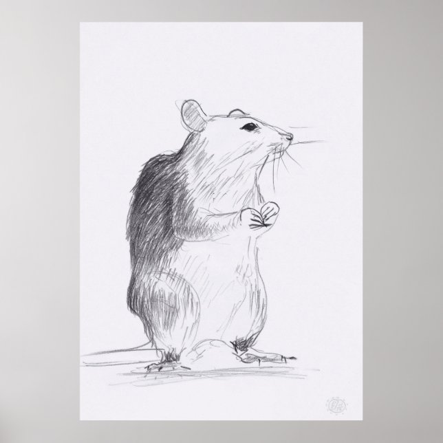 Rat Dessin Original Poster 24x36 (Devant)