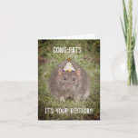 Rat Happy Birthday - Carte de plaisir<br><div class="desc">Ce mignon petit rat photogénique est sorti habillé pour les fêtes d'anniversaire ! Ils vivent sous de jolies fleurs dans le parc Abbey,  Leicestershire.</div>