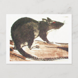 Rat No. 01 * Conseil * Cartes postales de rat* Rat