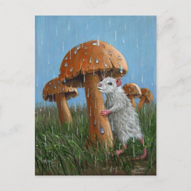 Rat sous Champignons en pluie Carte postale (Devant)