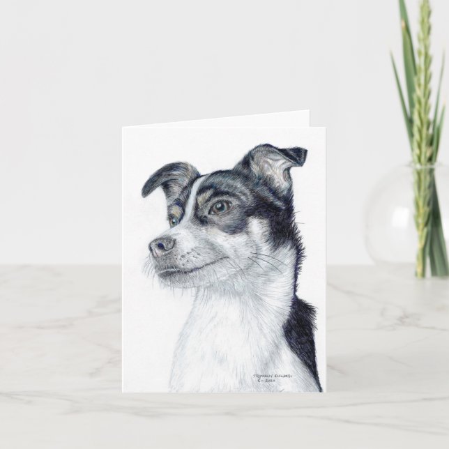 Rat Terrier Blank (Devant)