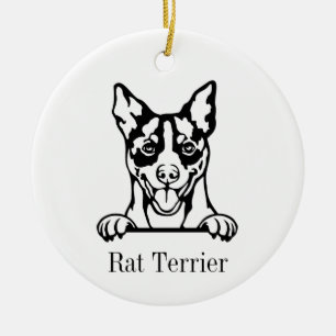 Rat Terrier ornement chien