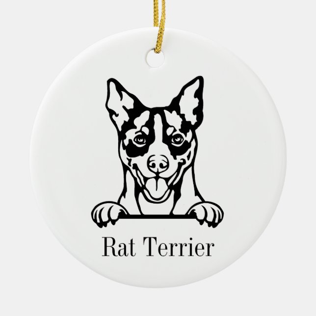 Rat Terrier ornement chien (Devant)