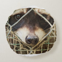 raton laveur sur coussin rond
