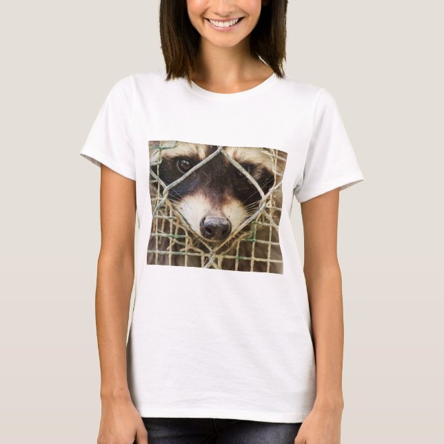 raton laveur sur des t-shirts (Devant)