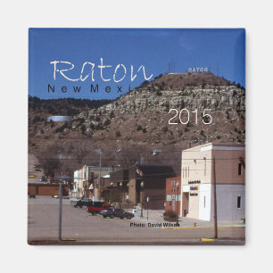 Raton New Mexico USA State Souvenir Frigo Magnet
