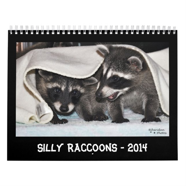 Ratons laveurs idiots - calendrier 2014 (Protection)