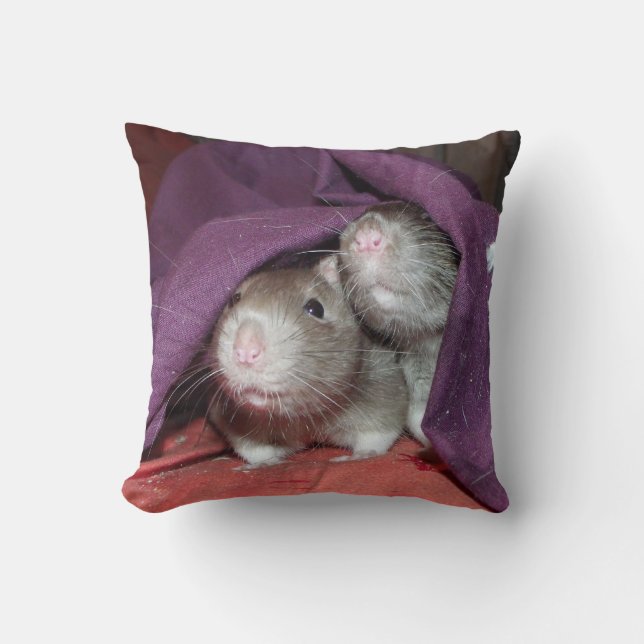 rats cachant American Mojo coussin (Recto)