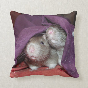 rats cachant le coussin de Mojo d'Américain