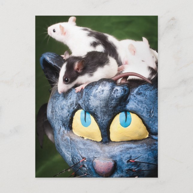 Rats sur la carte postale du cerveau (Devant)