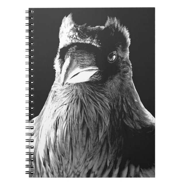 Raven Art Carnet Crow Art Journal Livre (Devant)