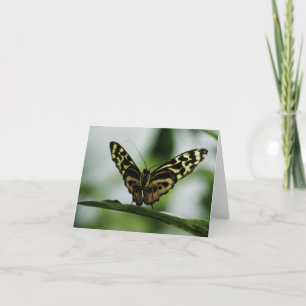 Ravi de vous rencontrer Carte