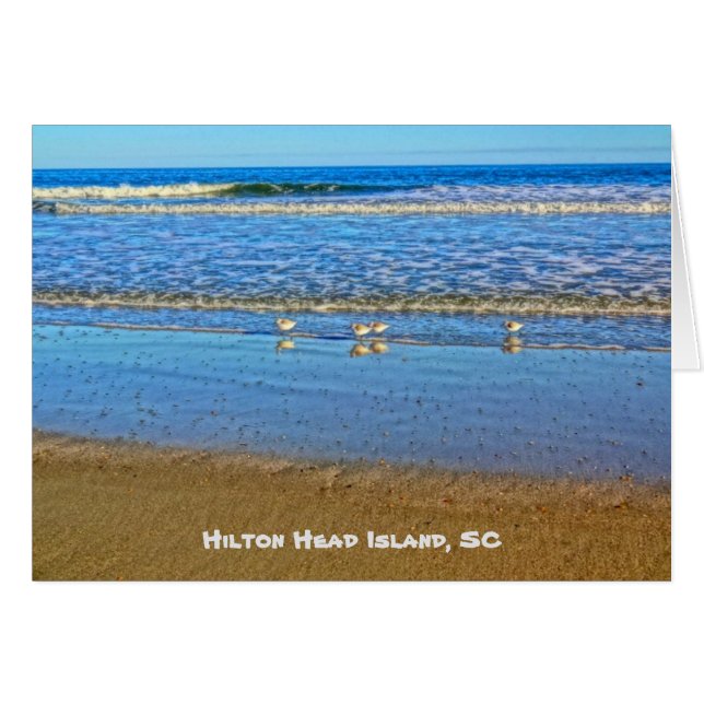 Raviers Dans Le Surf ! Hilton Head Island SC (Devant Horizontal)