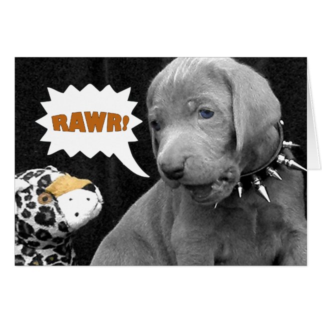 RAWER (Devant horizontal)